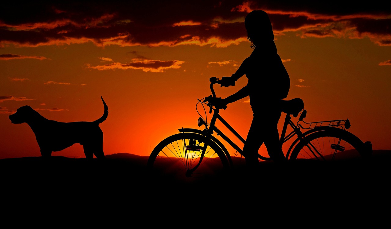 Hund und Sport